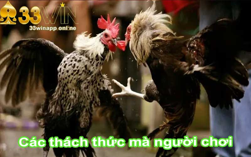 Các thách thức mà người chơi