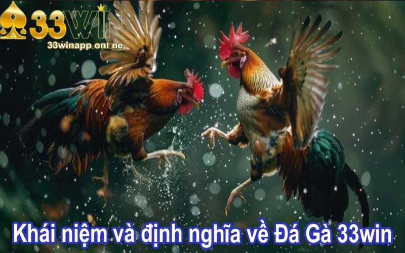 Khái niệm và định nghĩa về Đá Gà 33win